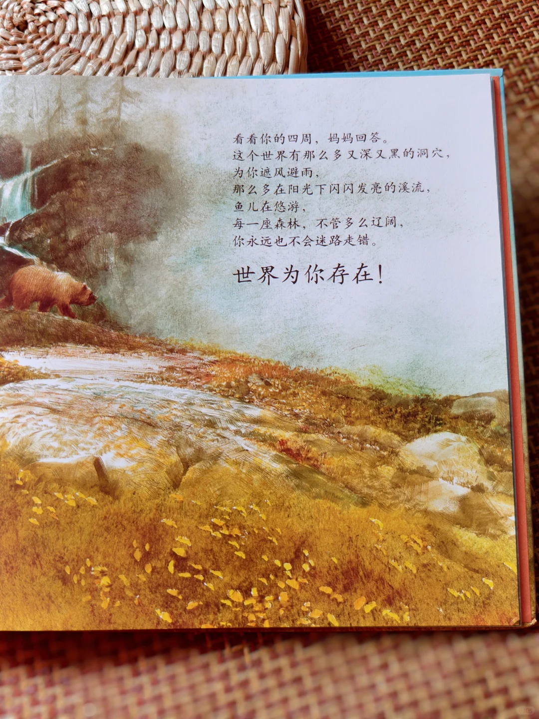 自然美育书单｜让孩子认识、学习、爱上大自然！