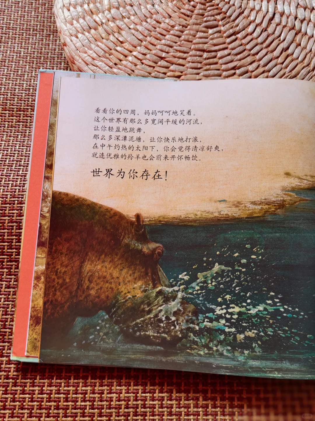 自然美育书单｜让孩子认识、学习、爱上大自然！