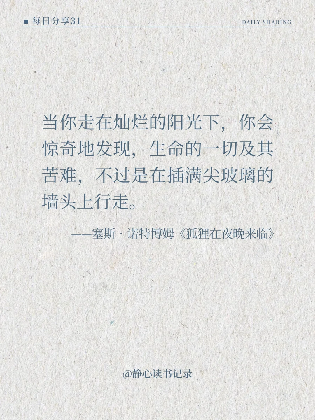 《狐狸在夜晚来临》｜这些文字也太美了吧🦋
