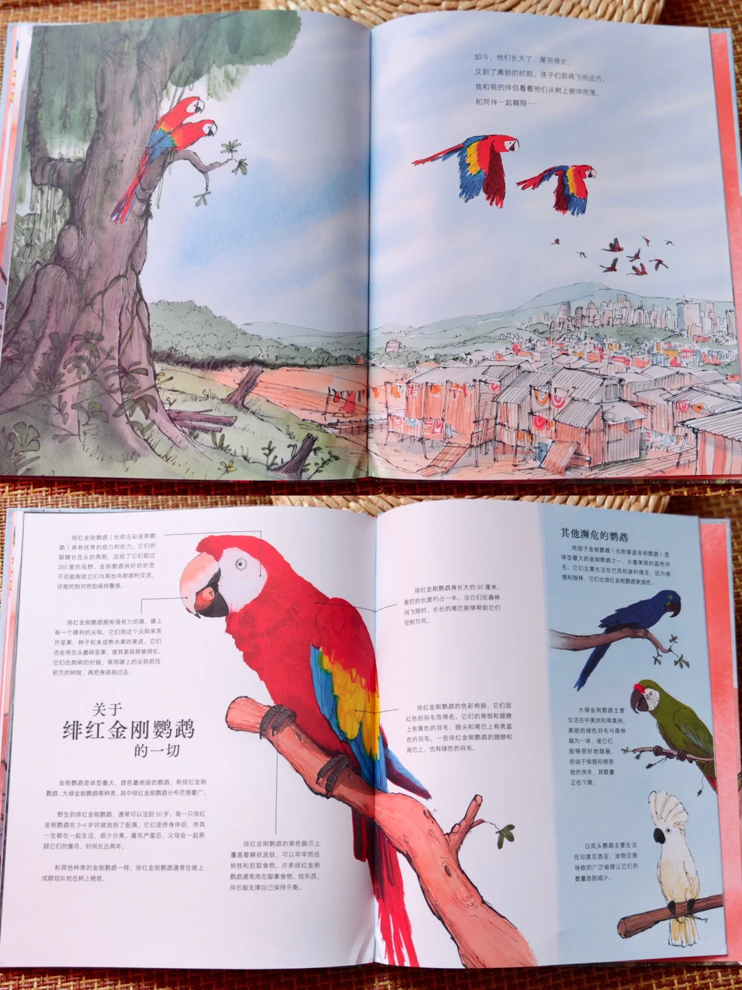 自然美育书单｜让孩子认识、学习、爱上大自然！