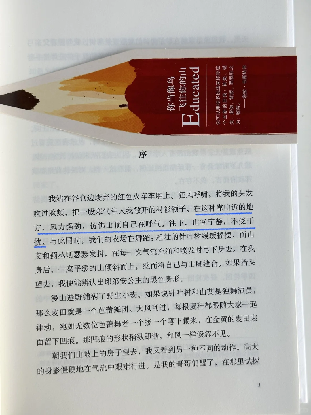 人这一辈子，最大的贵人是自己