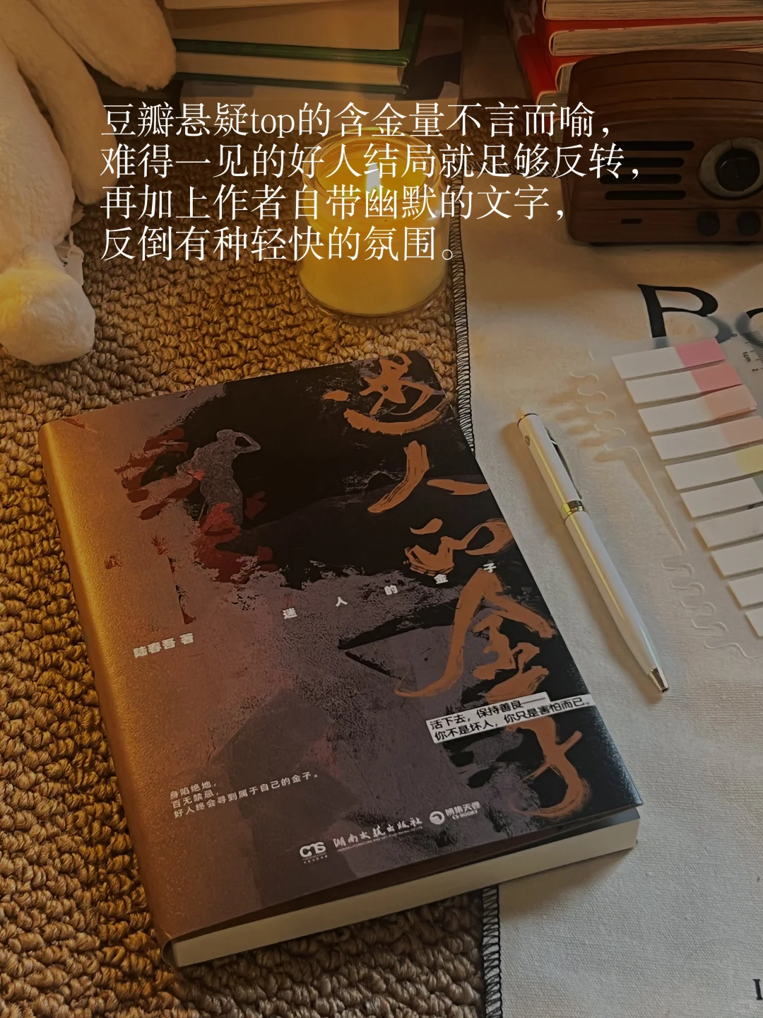 我的2025推理悬疑书单📖