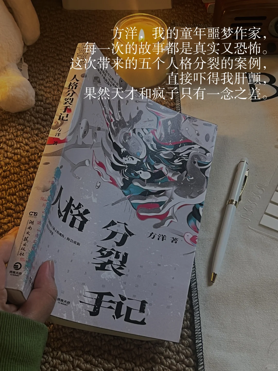 我的2025推理悬疑书单📖