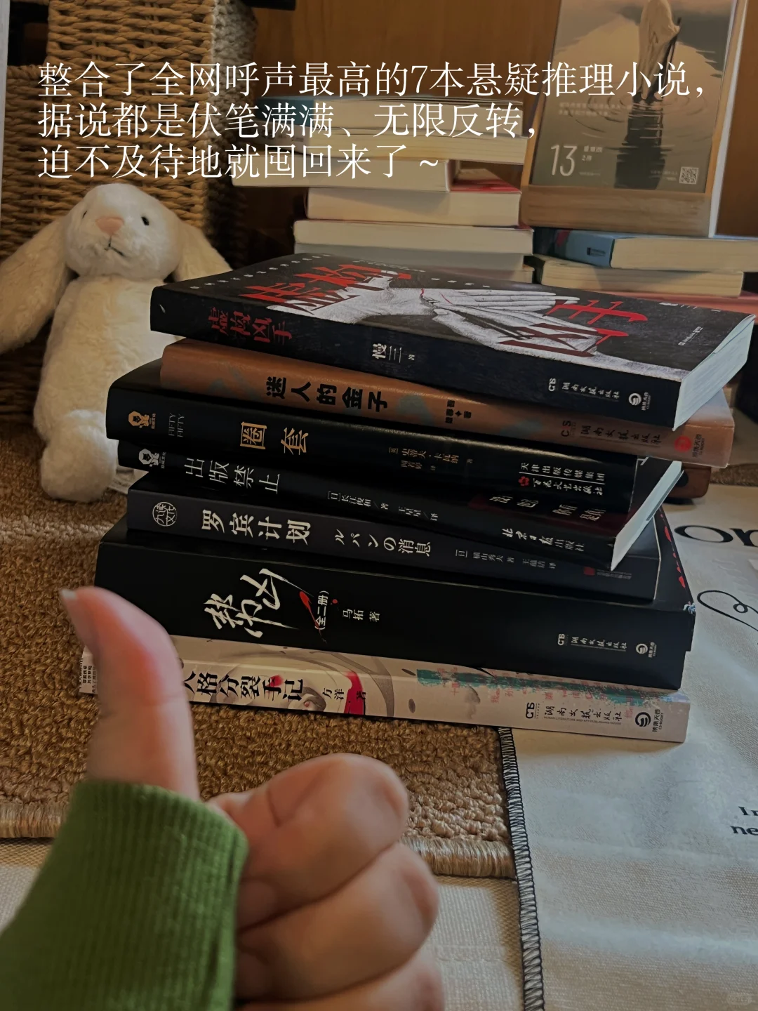我的2025推理悬疑书单📖