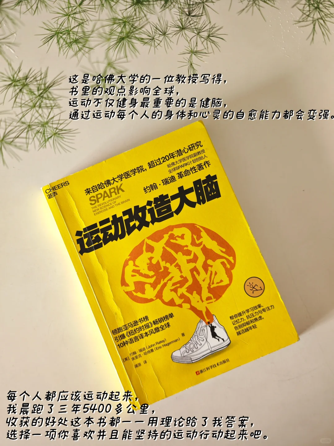 结节自愈这一年我的书单