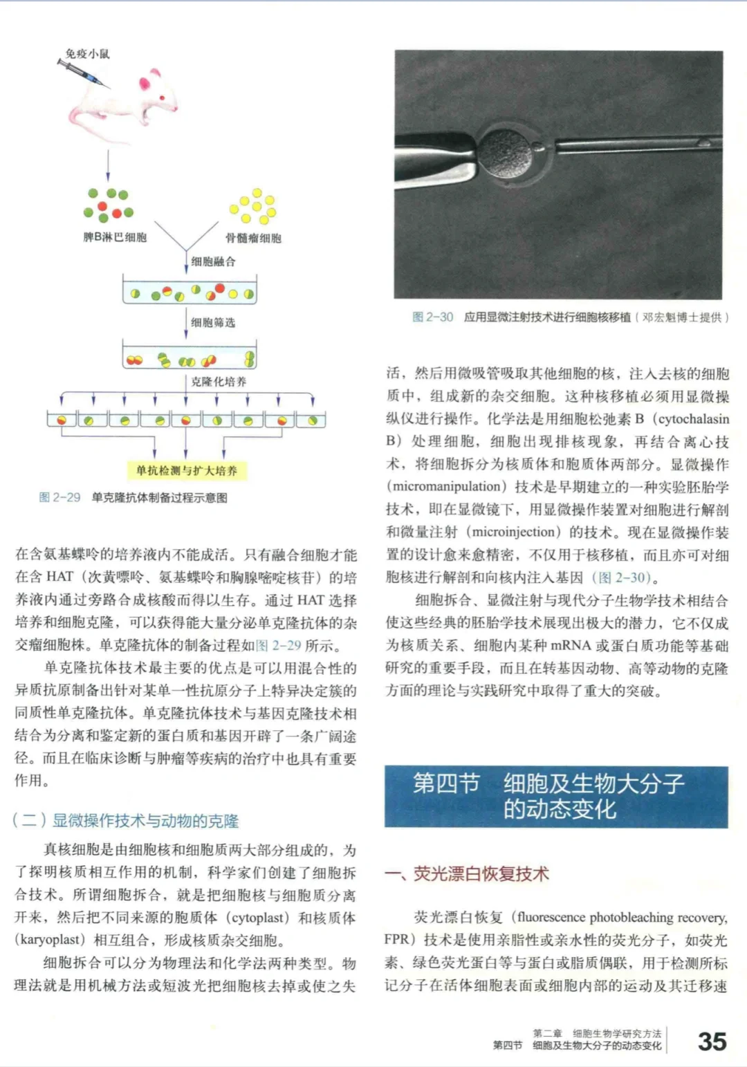 《细胞生物学》第五版电子书，需要的进！