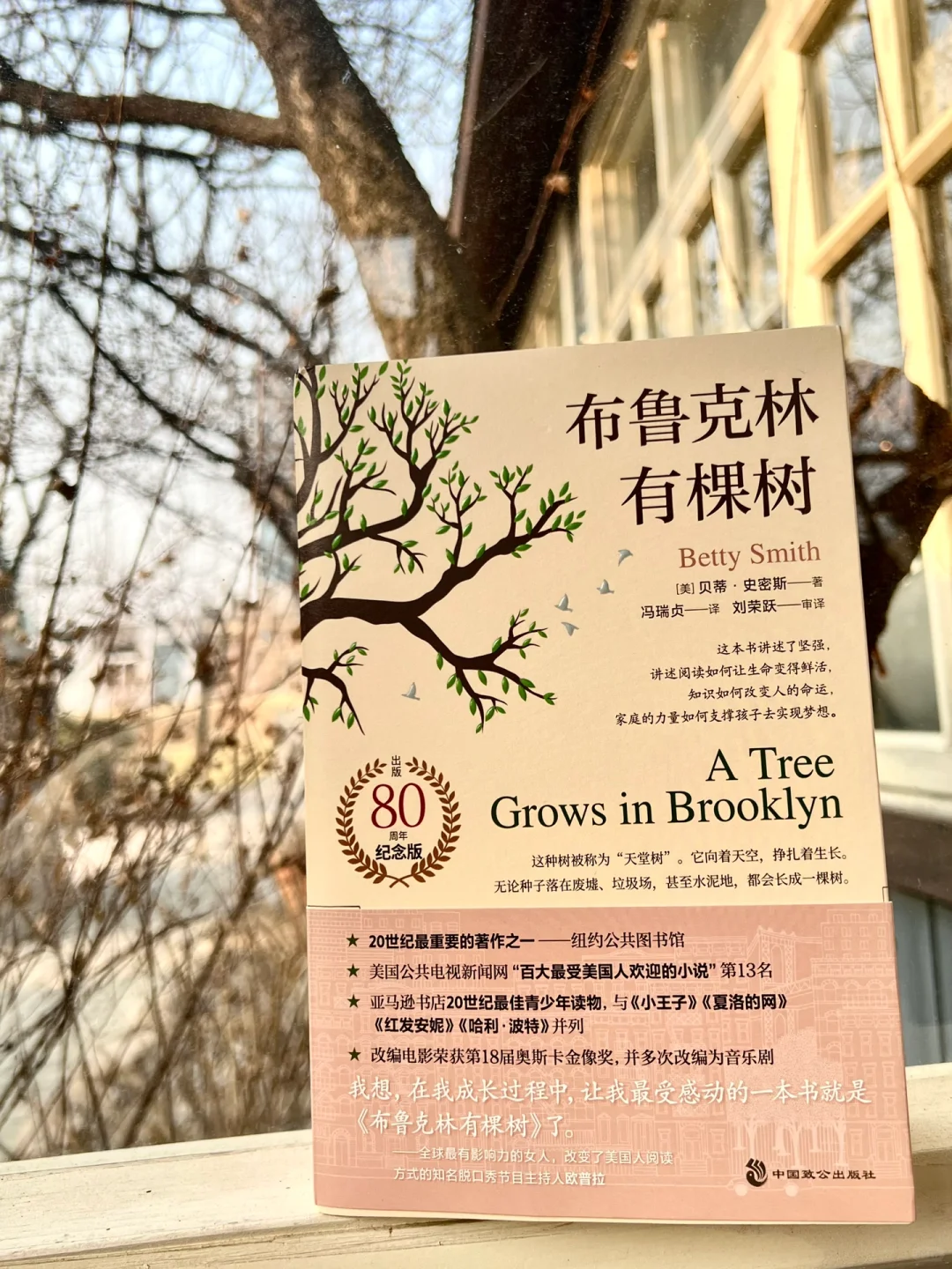 这是对我意义最重大的一本书，没有之一。