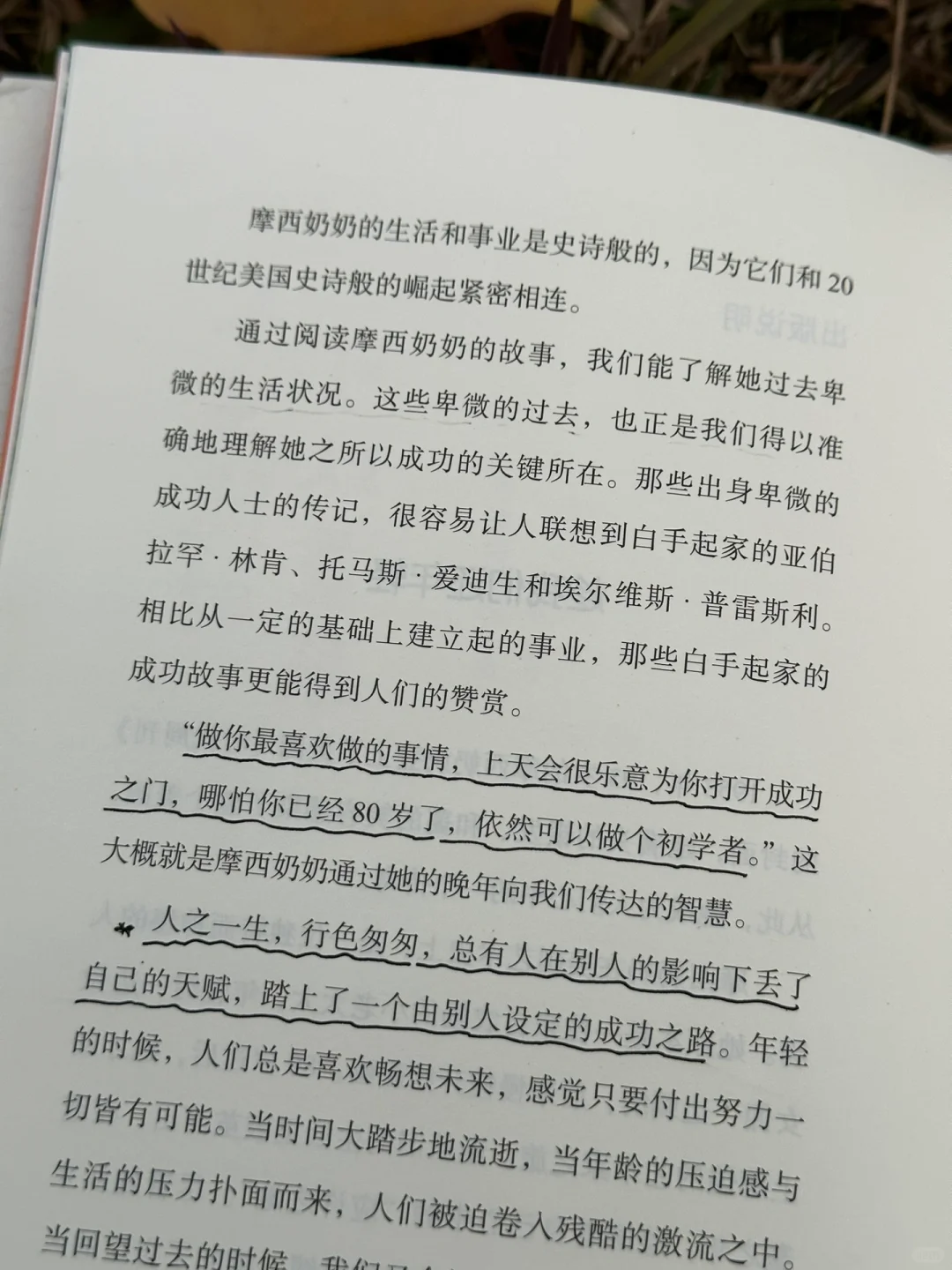 被这本书狠狠治愈了！🌷人生随时可以重来～