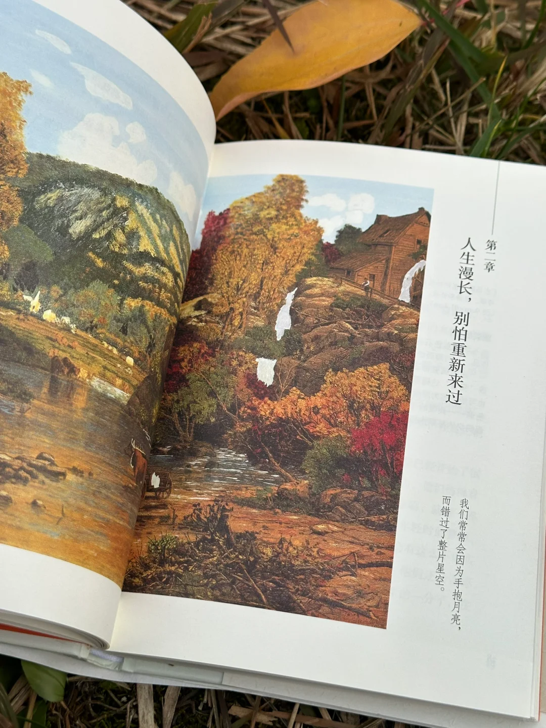 被这本书狠狠治愈了！🌷人生随时可以重来～