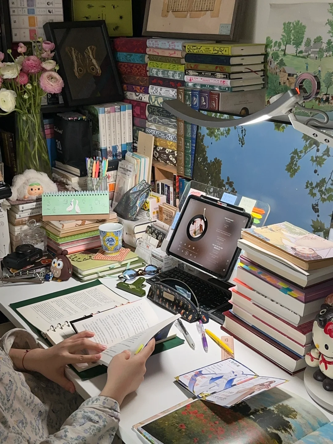 一个人住｜听歌、赏花、一口气读完一本小说