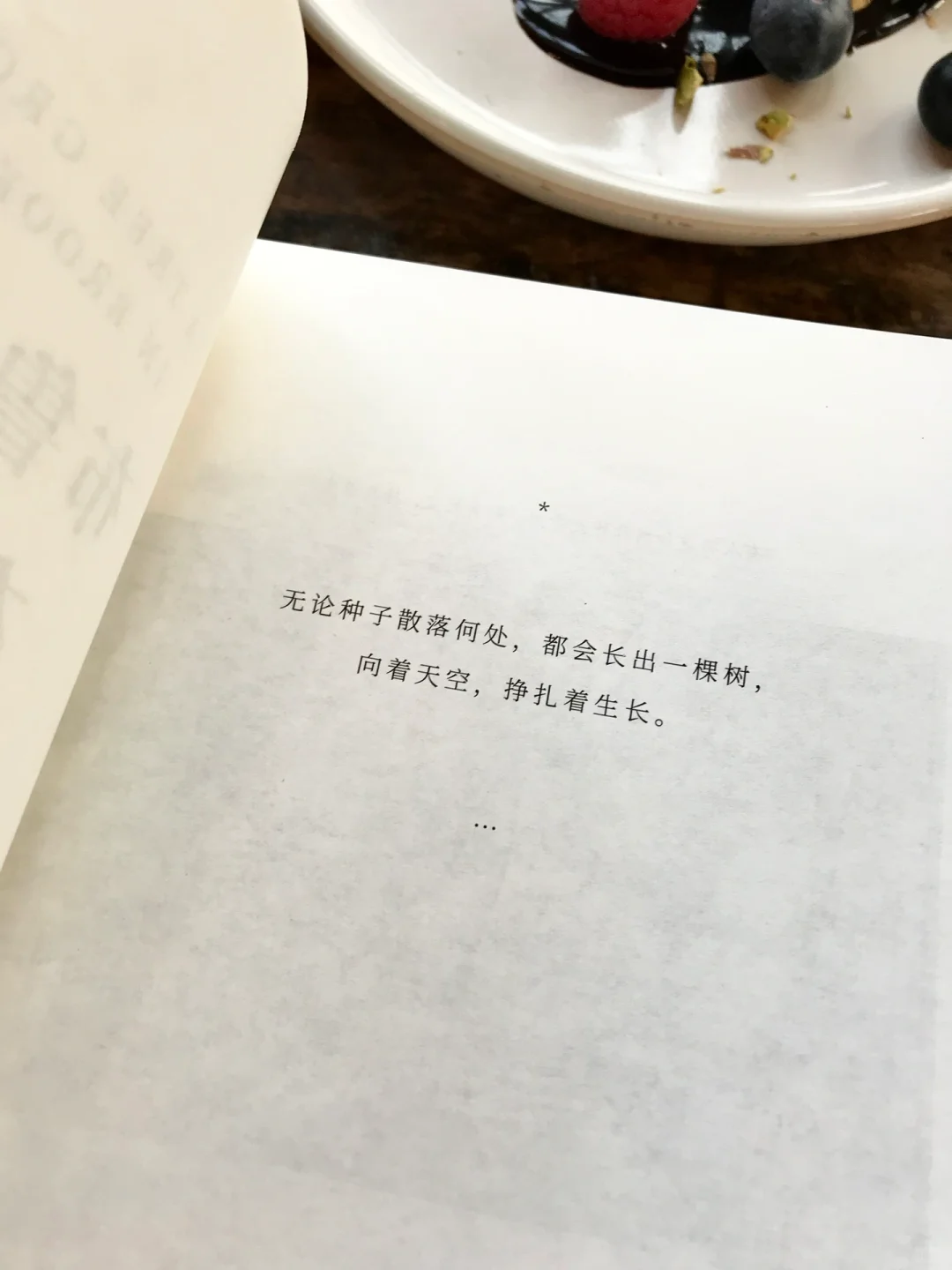 这是对我意义最重大的一本书，没有之一。