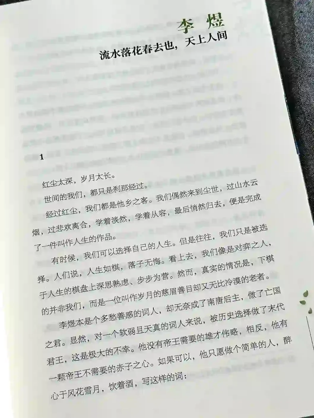 深夜泪崩的冷门书单📚