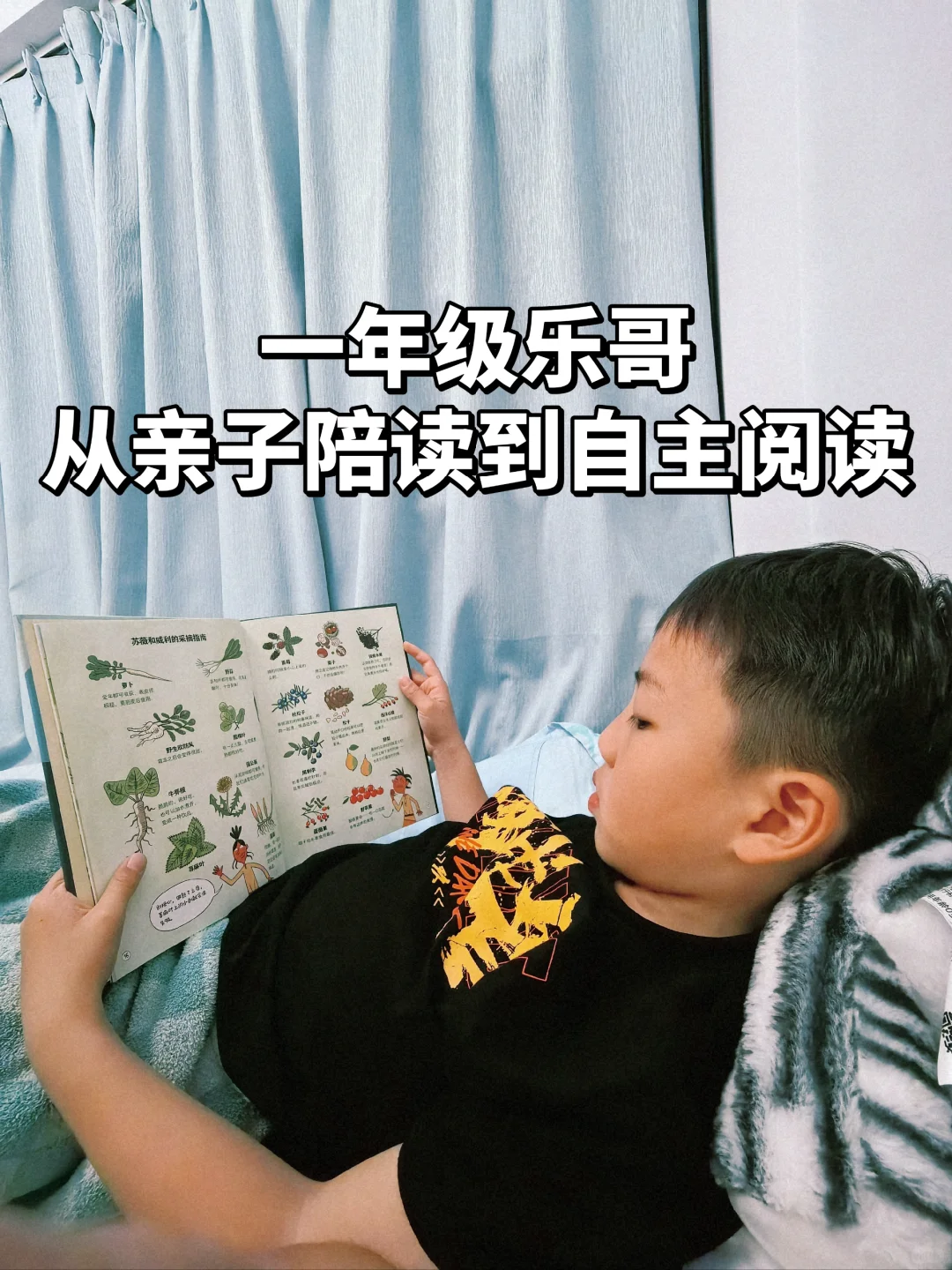 7岁娃从“要我读”到“我要读”的书单