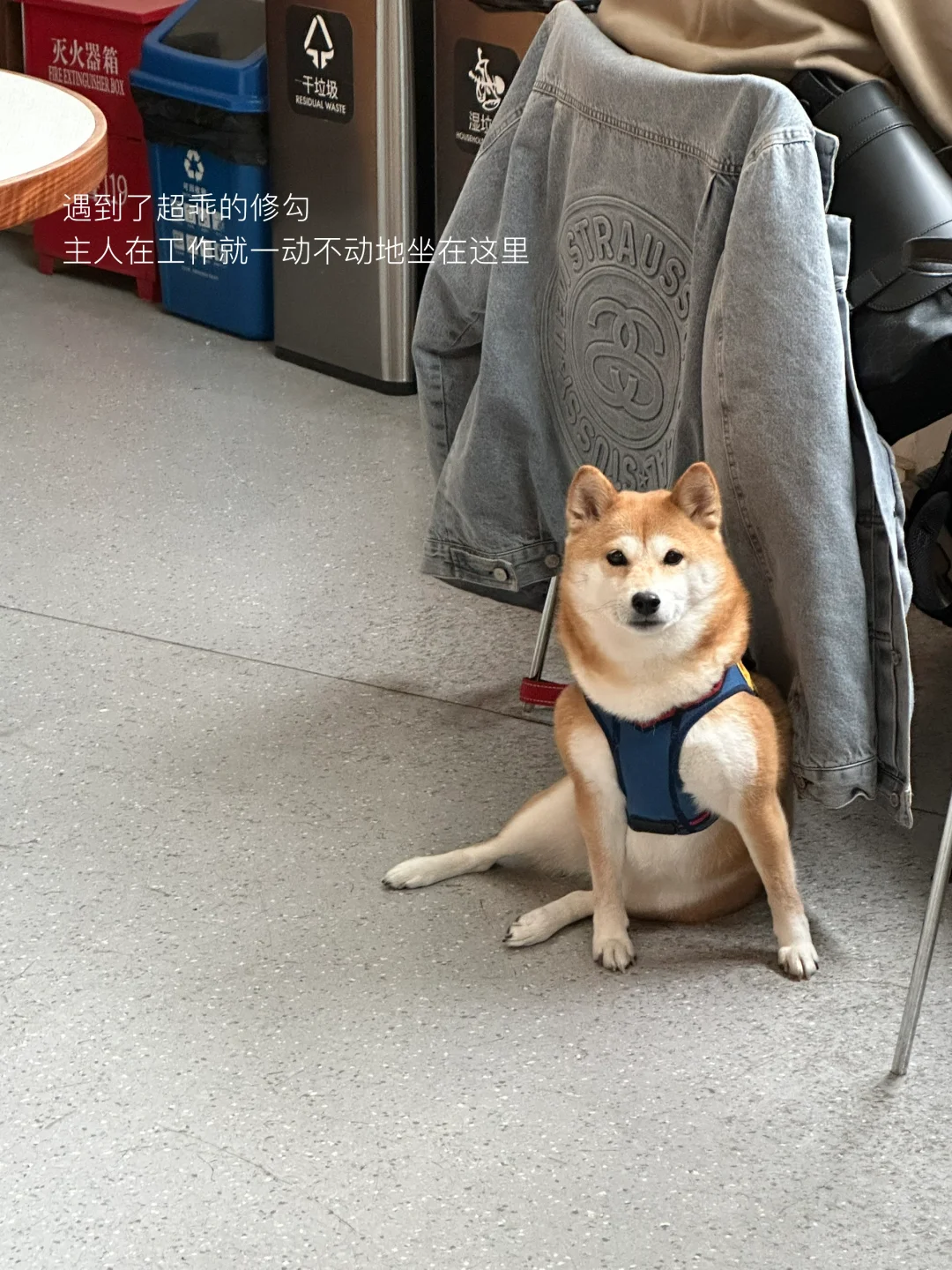 𝐢𝐧𝐟𝐩‘s 📖：阅读永远是我的救命稻草