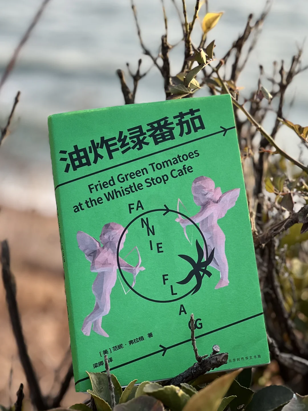 读到了近10年最爱的一本书，没有之一。