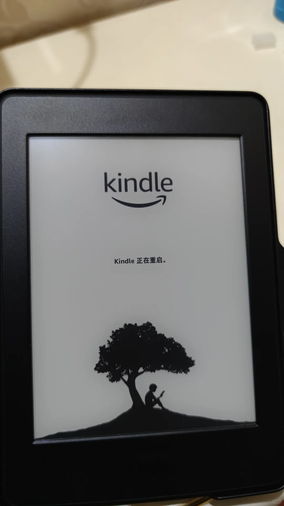 kindle阅读器闲置