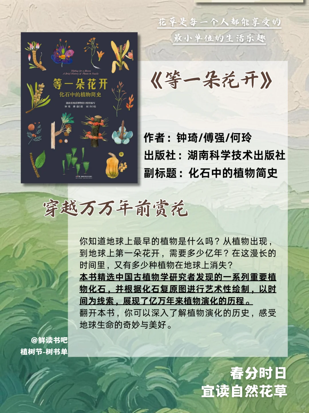 春分就要把这份书单铺满桌面🍀｜花草书单