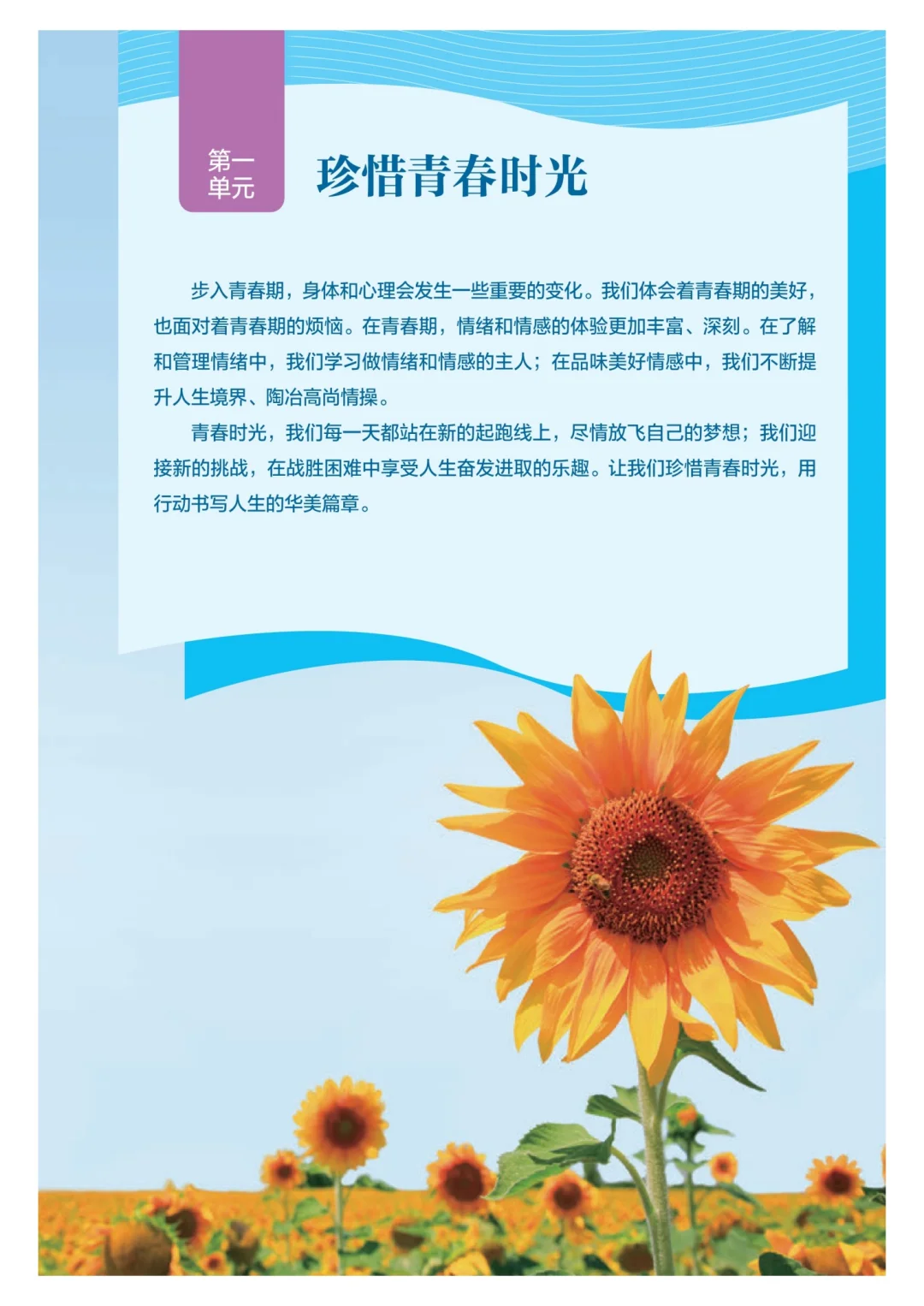 新人教道德与法治电子版教材分享