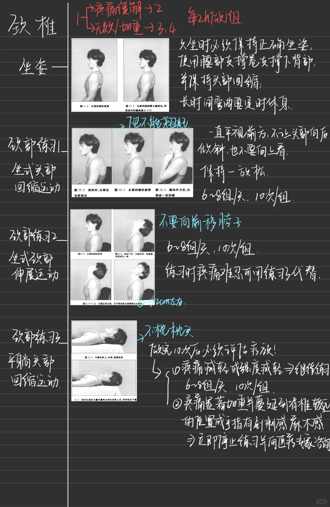 康复图书📚-《麦肯基》