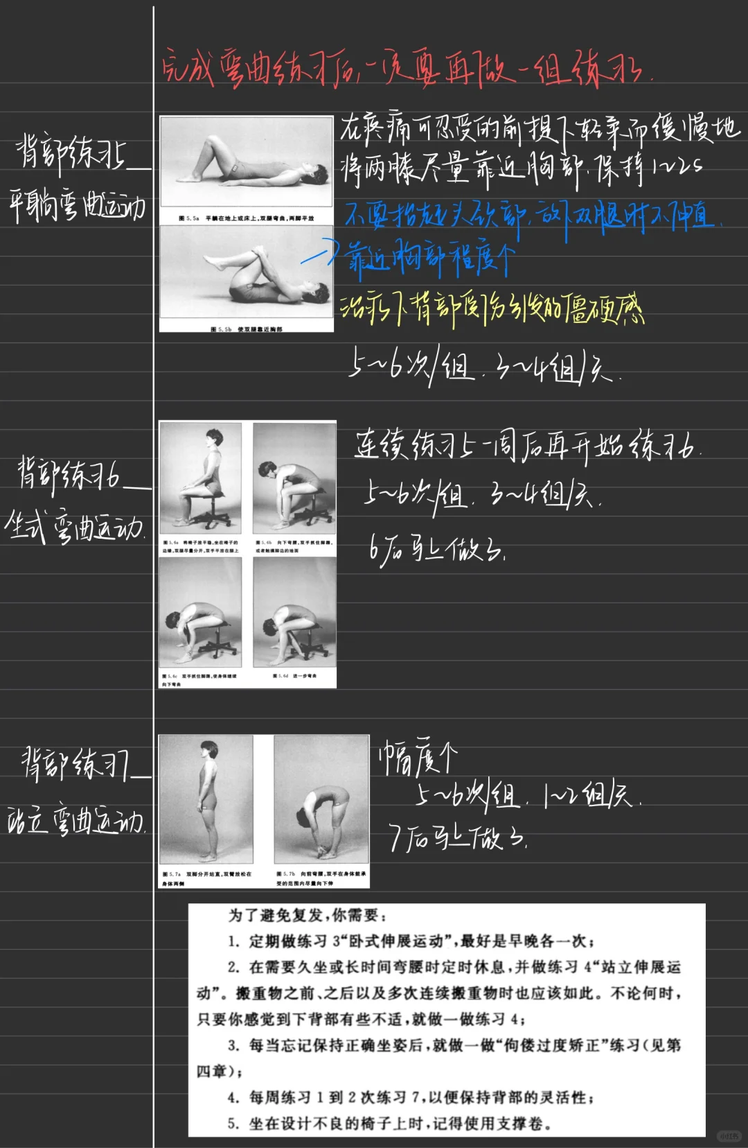 康复图书📚-《麦肯基》