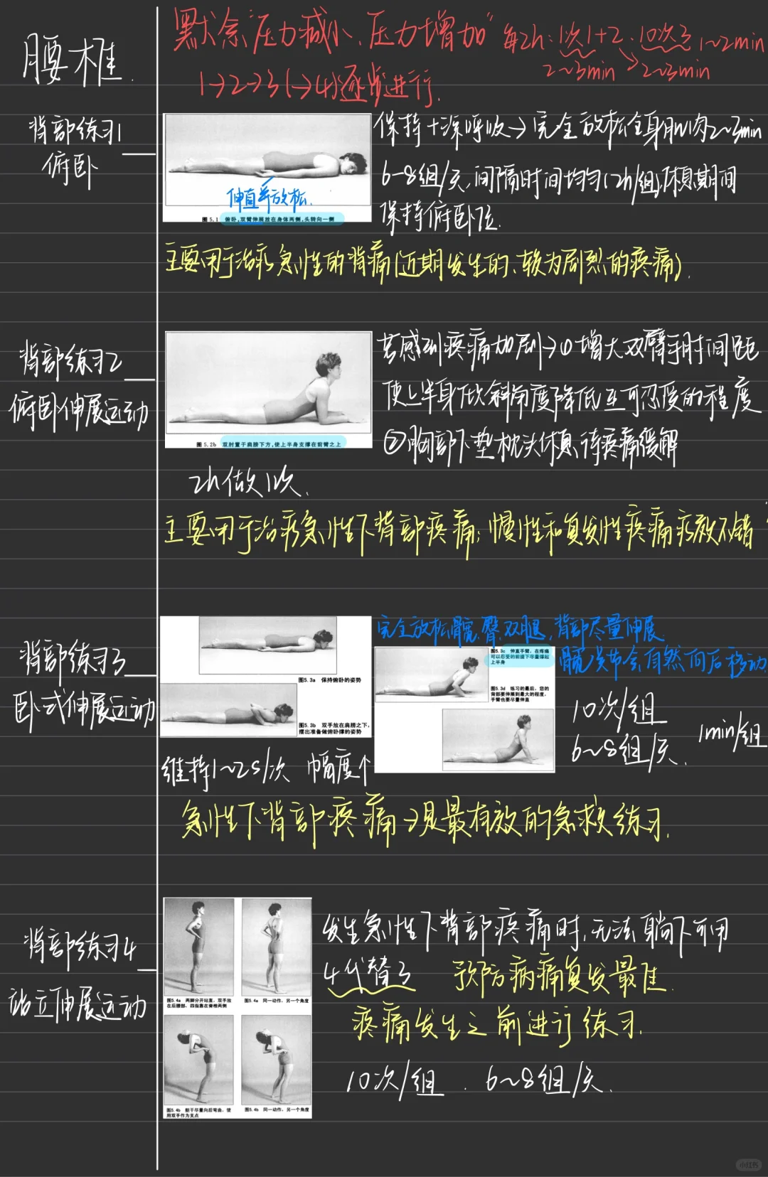 康复图书📚-《麦肯基》