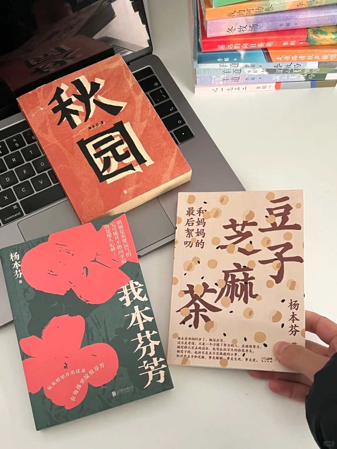 二月和三月的书单📖