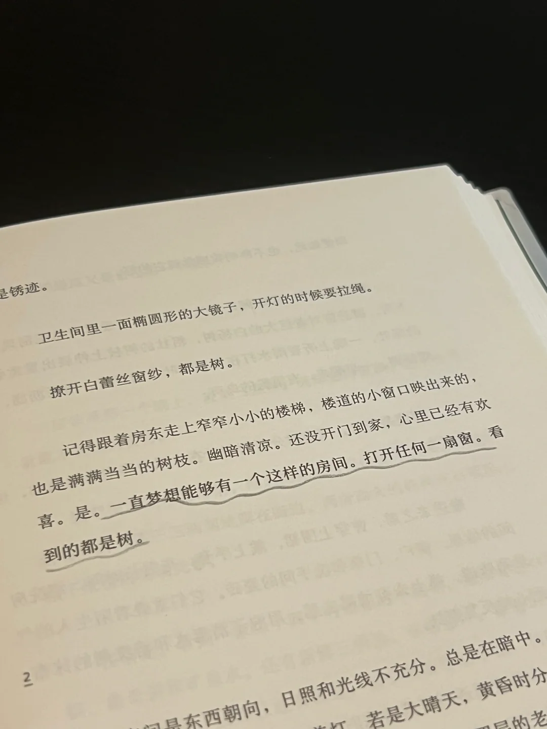 浪漫书单｜文笔美的让人心颤！