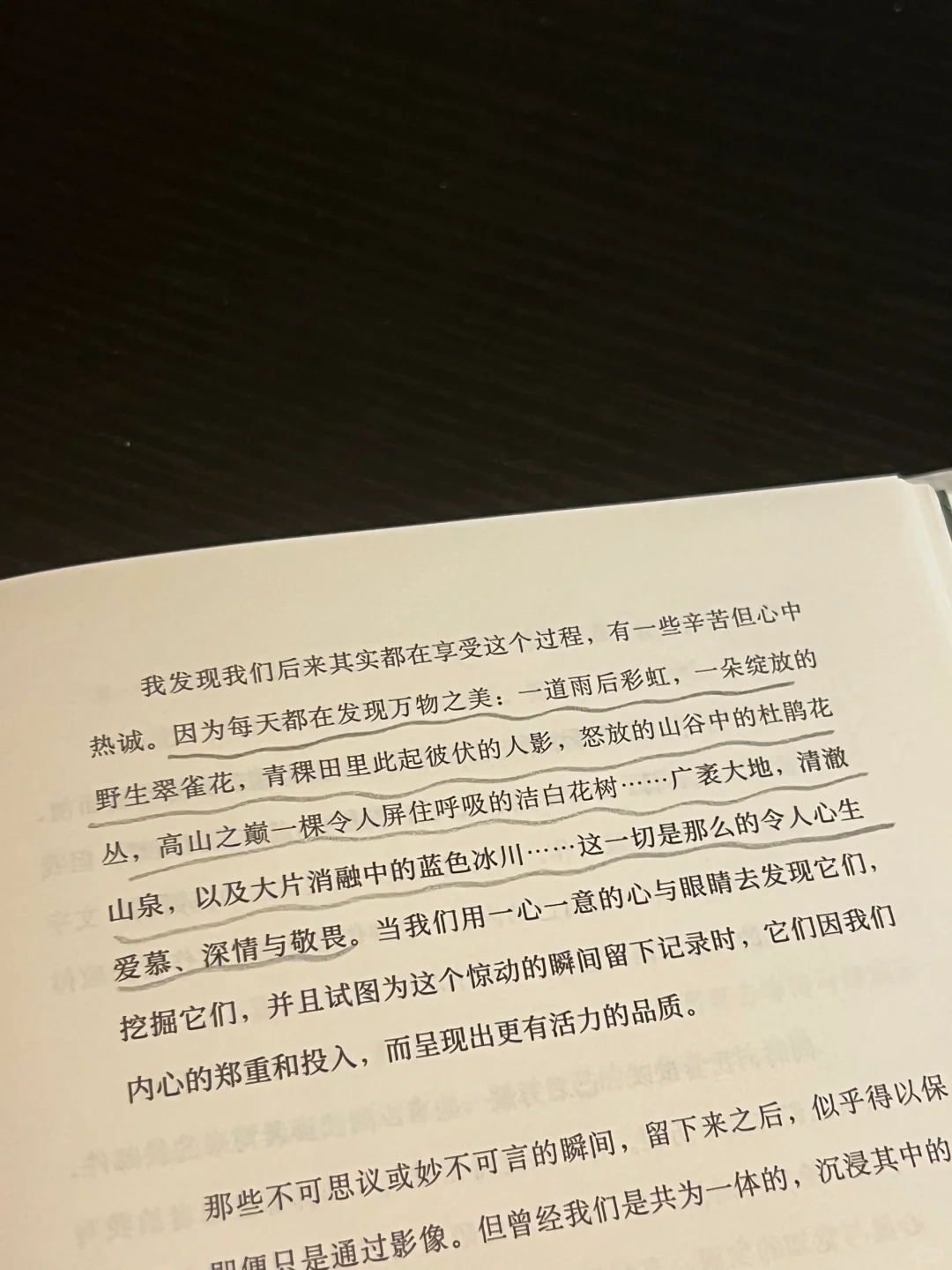 浪漫书单｜文笔美的让人心颤！