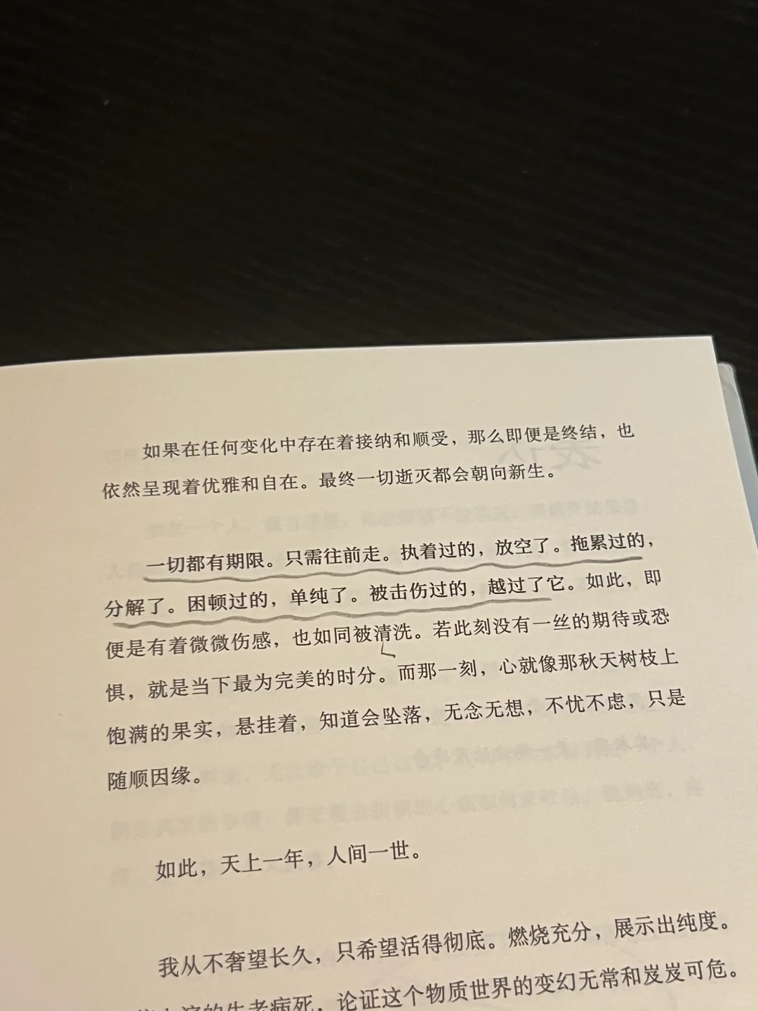 浪漫书单｜文笔美的让人心颤！