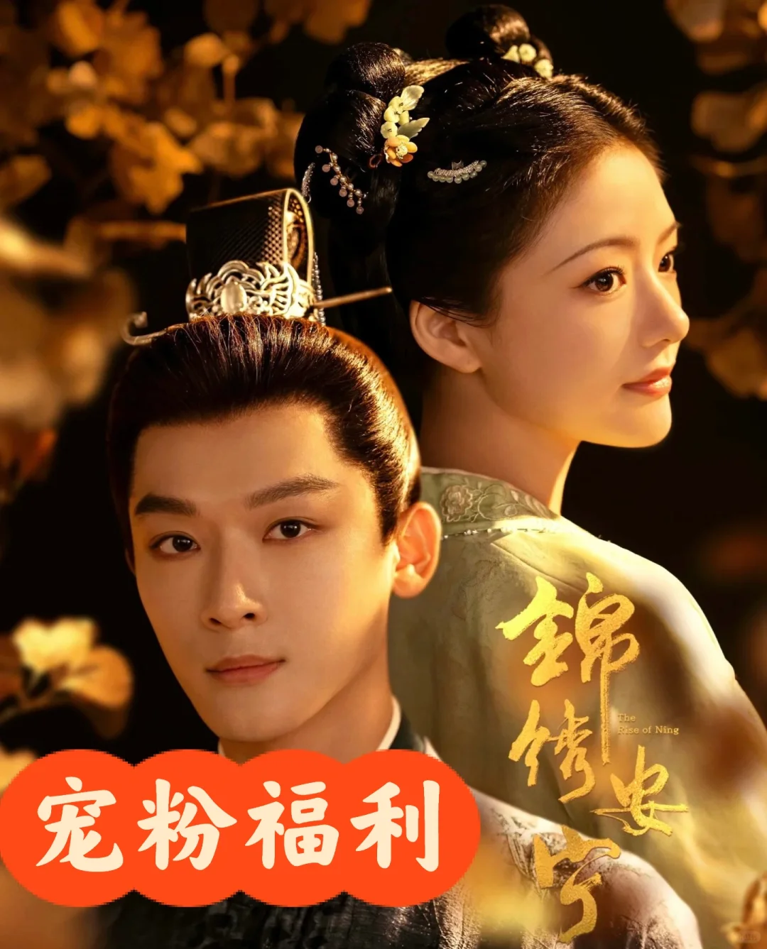 锦绣安宁|首辅养成手册电子书赏析