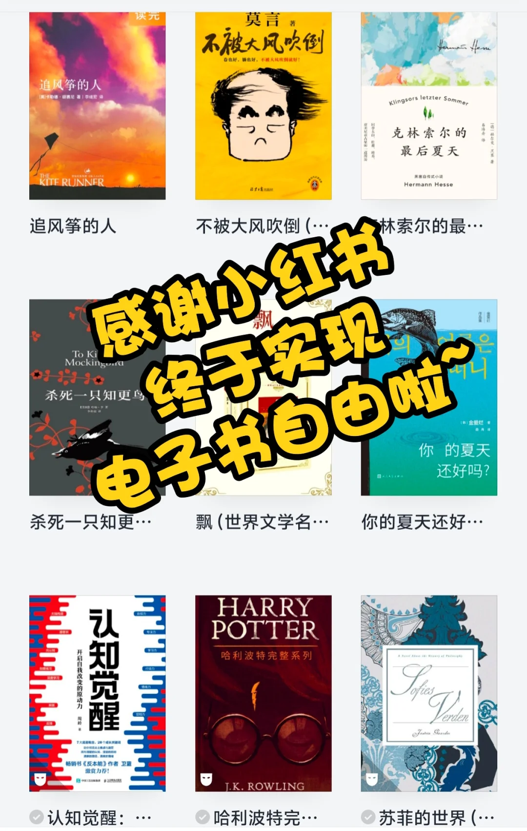 感谢小红书🙏终于实现电子书自由啦
