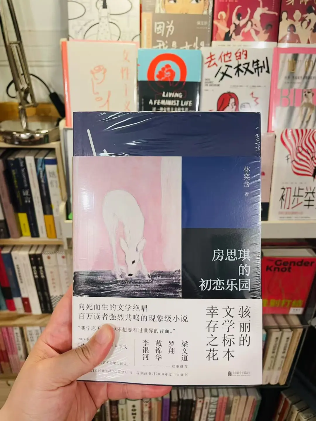 2025/4/16 | 留燈销售书单