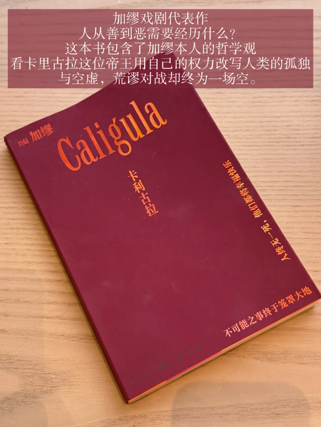 来！一起分享书单📚