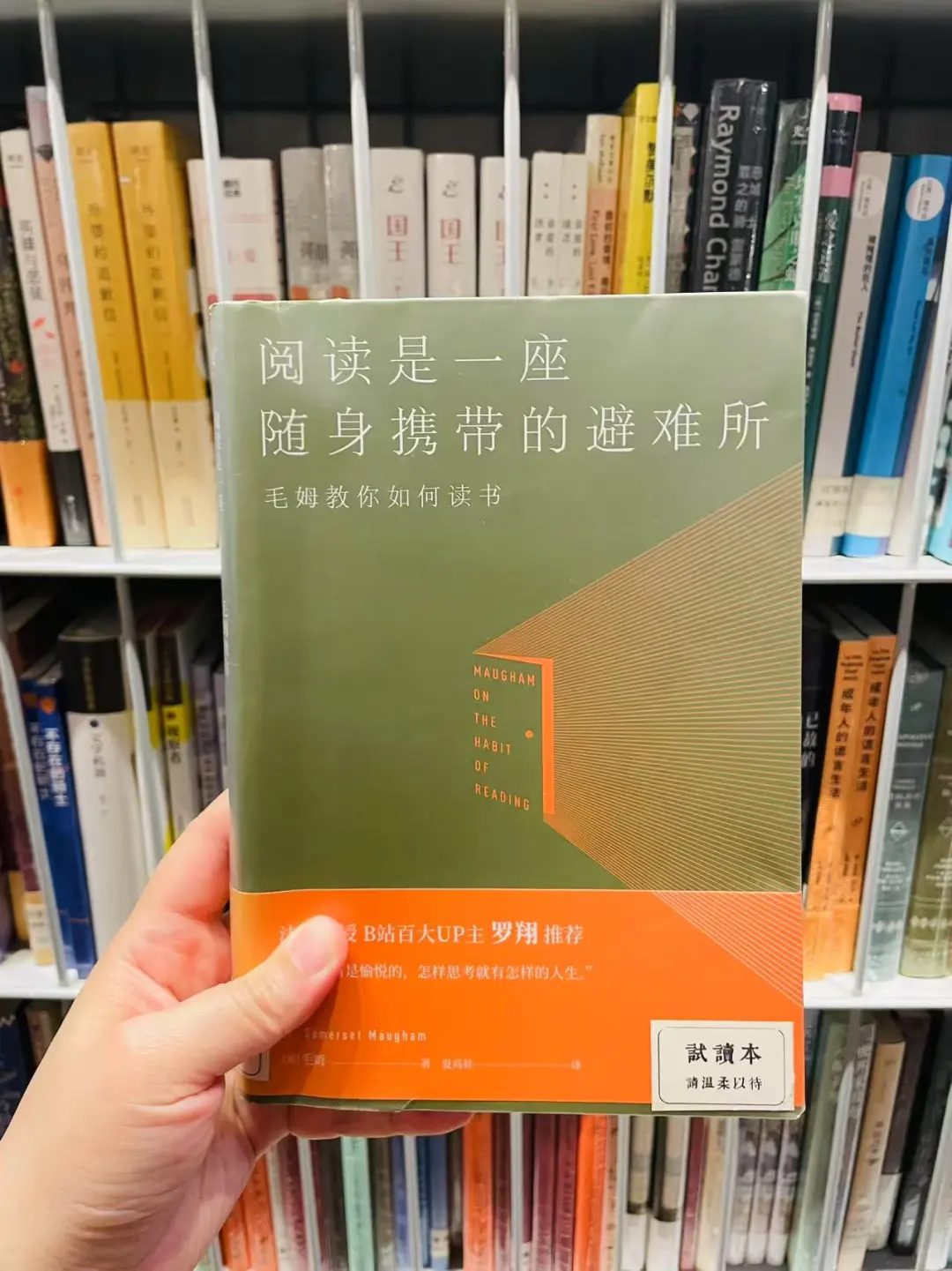 2025/4/16 | 留燈销售书单