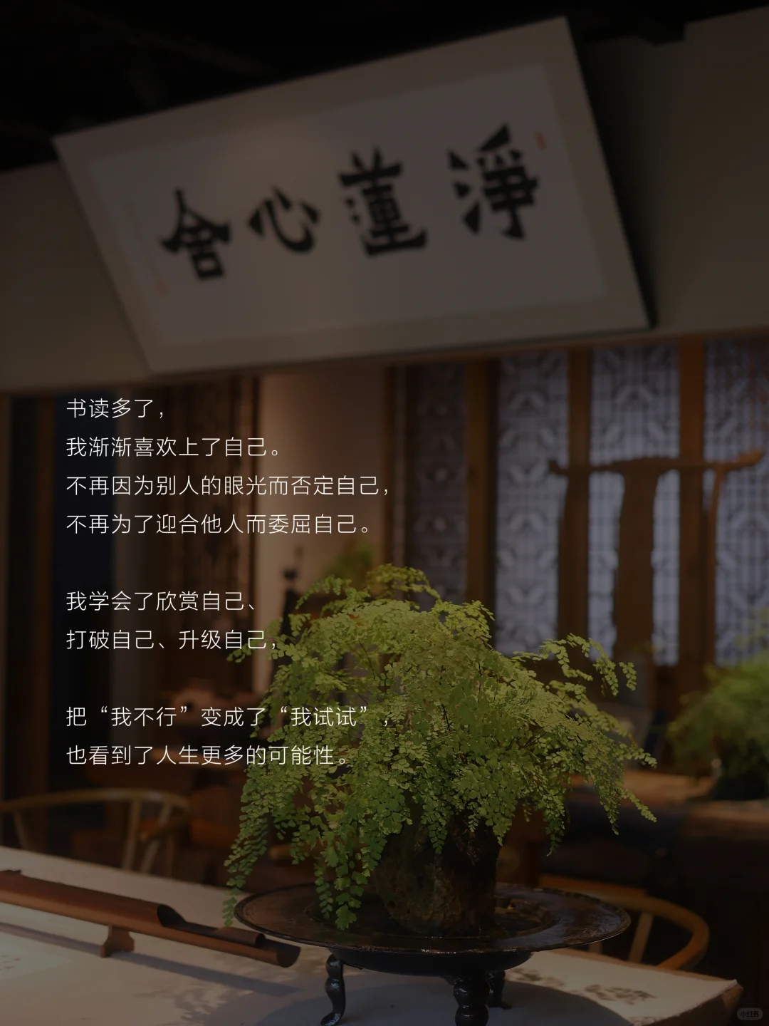 书读多了，女性真的会变大气