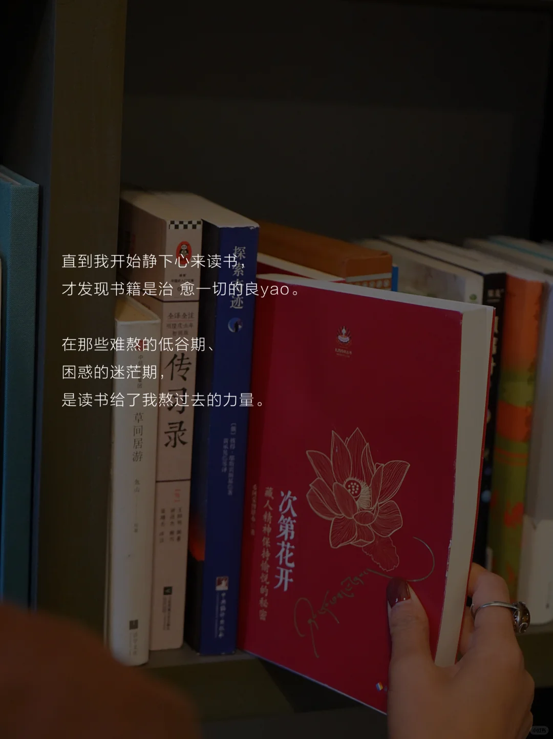 书读多了，女性真的会变大气