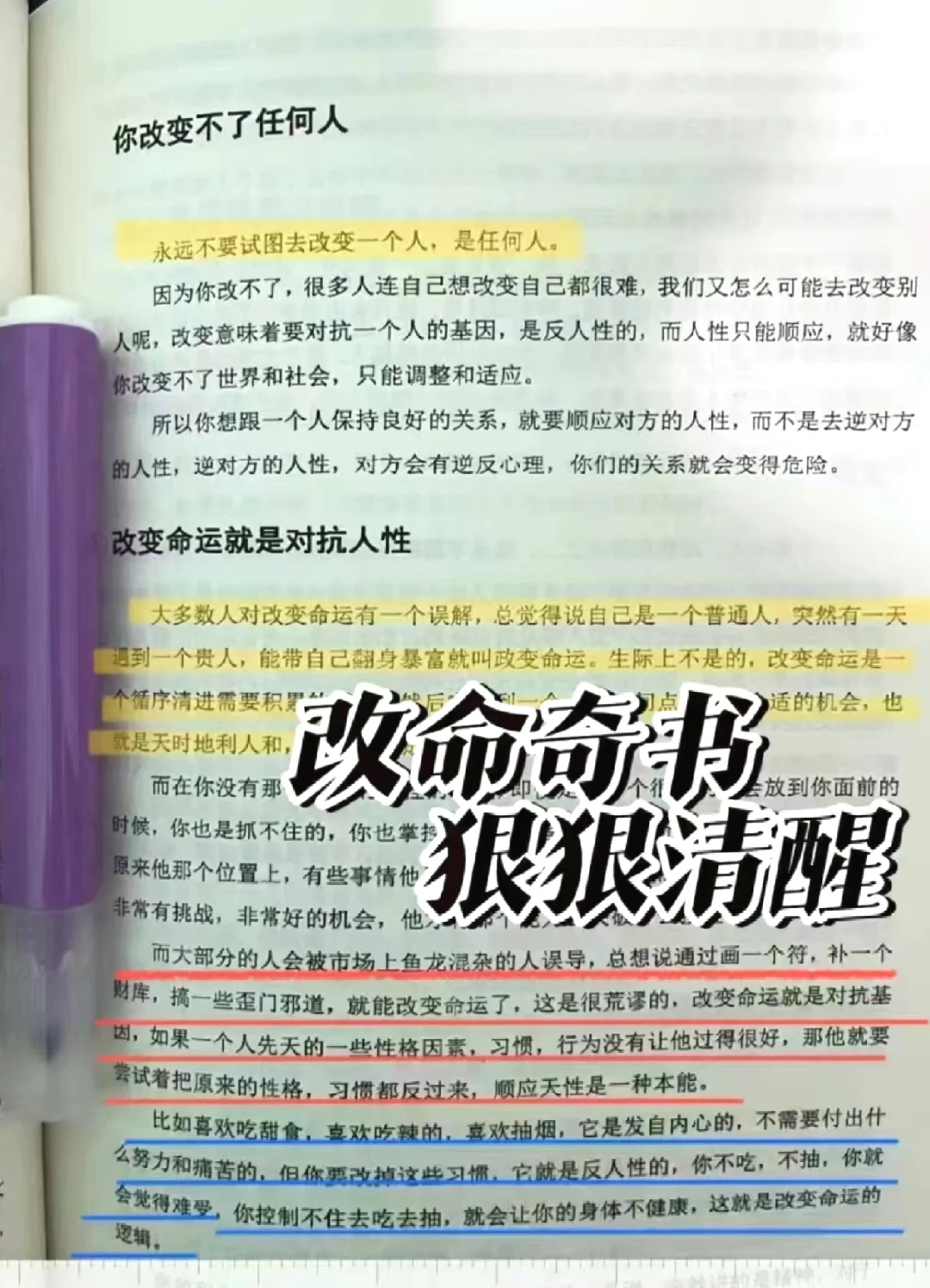 女人的气质是闯出来的