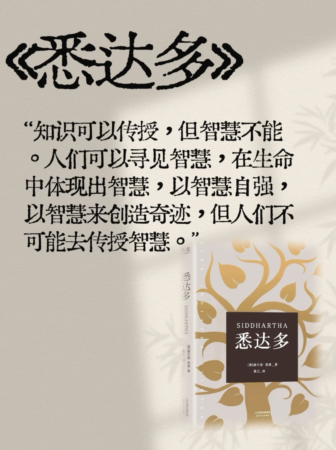 豆瓣9.3分《悉达多》|读完人生通透了