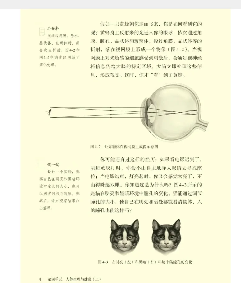 2025秋人教版初中生物八上全册教材PDF电子书