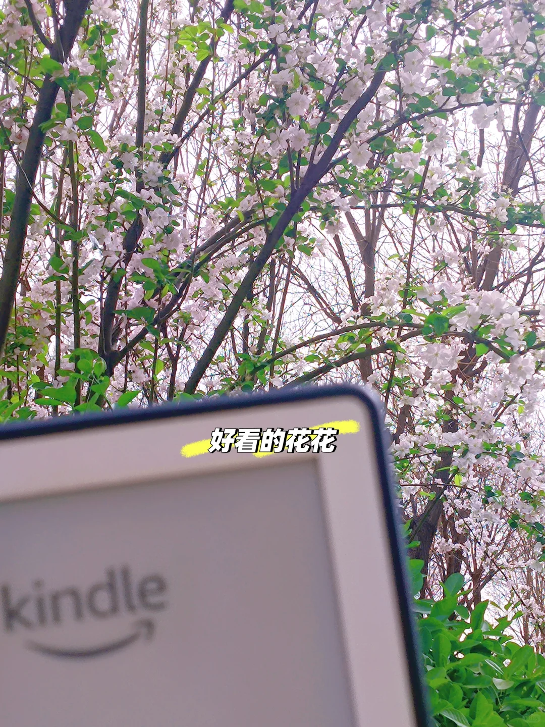 收到了人生中第一个kindle，好漂亮的小白