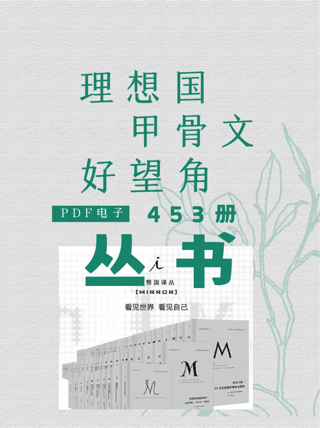 理想国甲骨文好望角经典丛书453册PDF