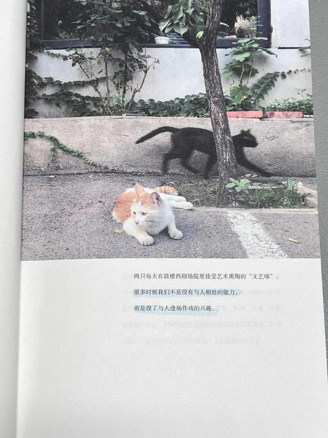你与这个世界一样的美好🔆