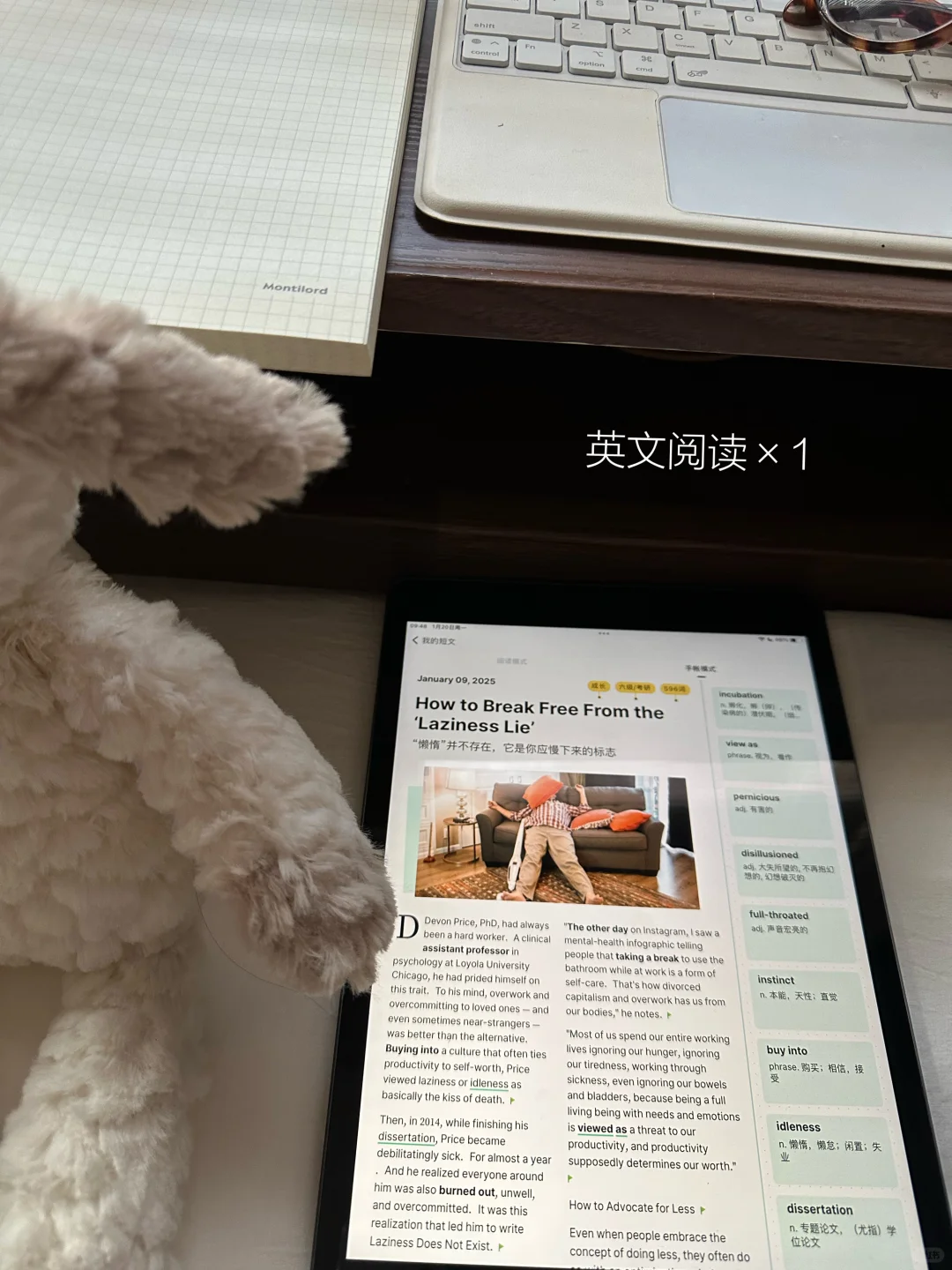 一月已读完六本📖