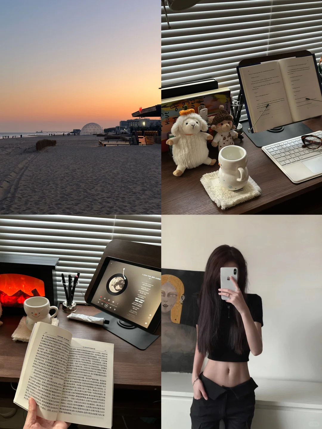 一月已读完六本📖