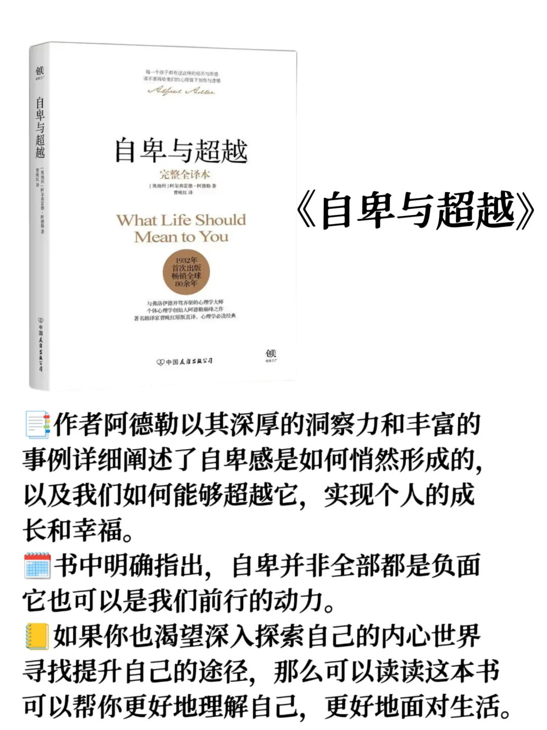 6本书，塑造我的世界观！