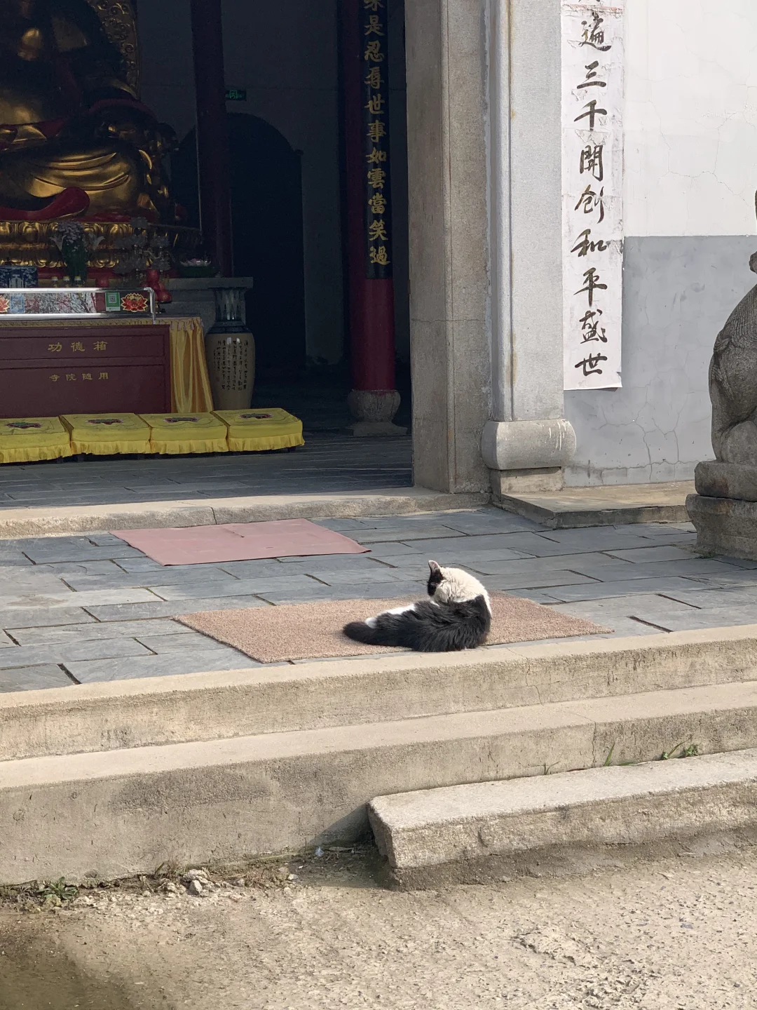 一月已读完六本📖