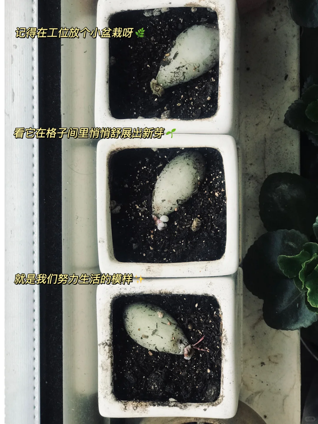 新人博主Day22|职场压力自救指南（附书单）