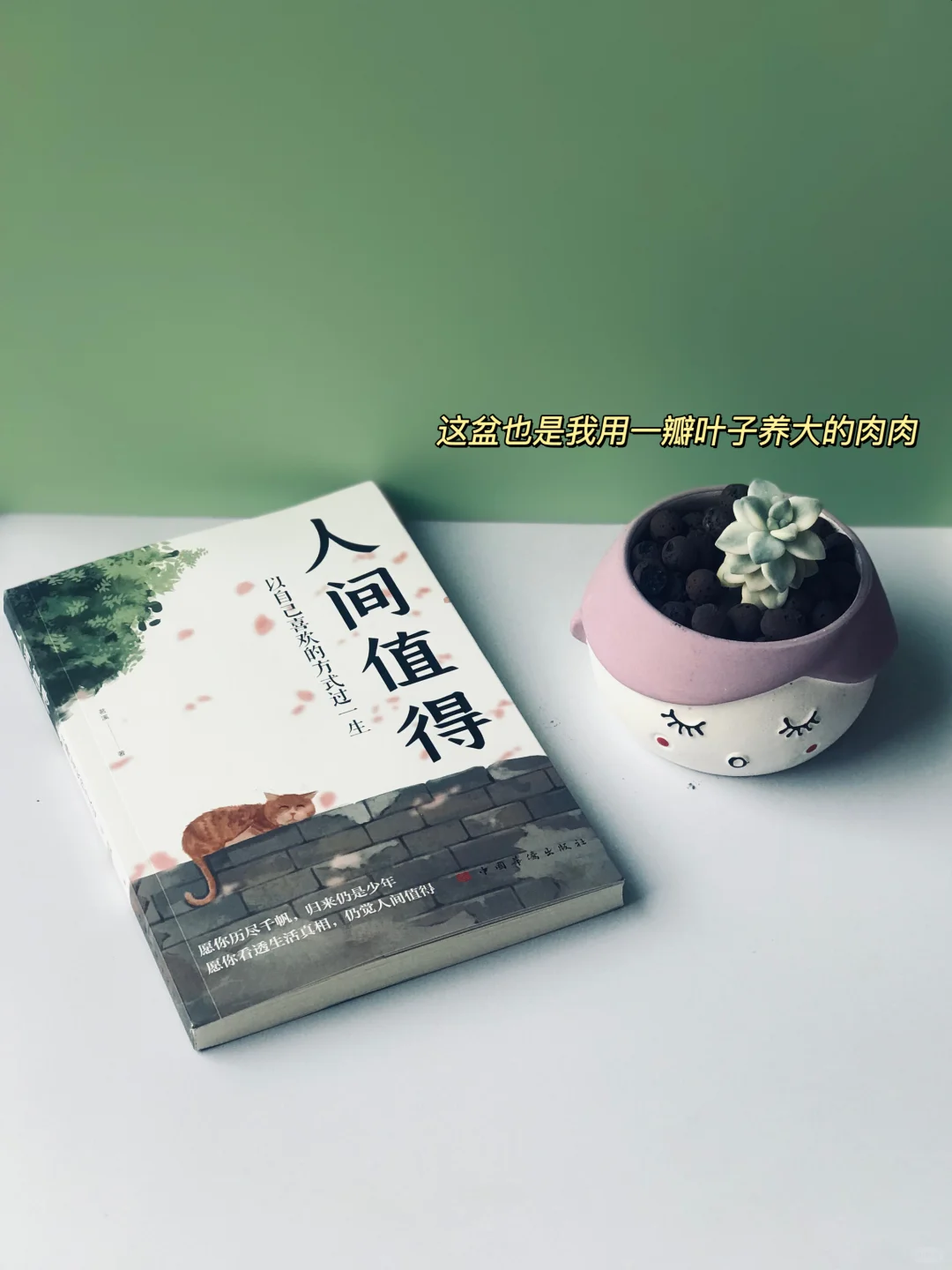 新人博主Day22|职场压力自救指南（附书单）