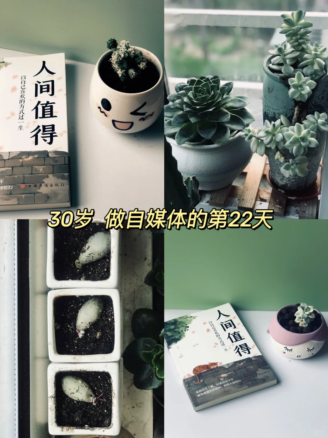 新人博主Day22|职场压力自救指南（附书单）