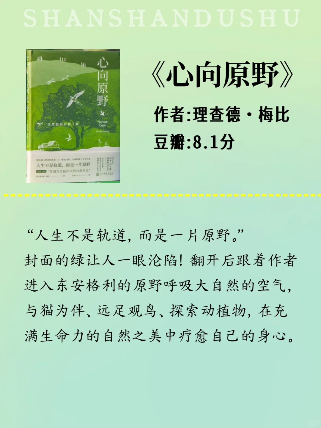 🍀春日书单|于文字间邂逅盎然的草木之春